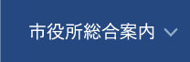 市役所総合案内