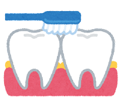 歯のイラスト