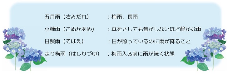 雨の種類