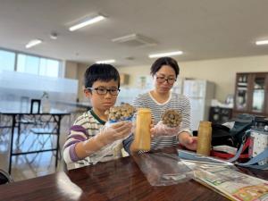 きのこの収穫体験