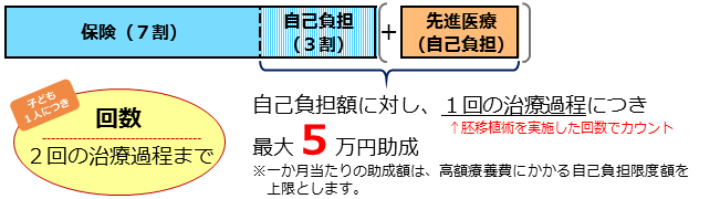 (1)の治療の助成イメージ