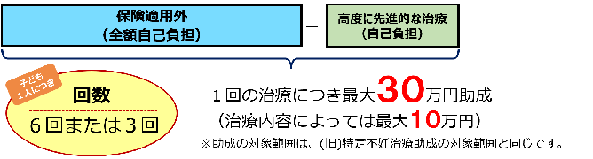 (2)の治療の助成イメージ