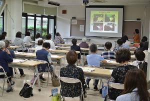 環境学習活動写真