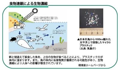 マイクロプラスチック