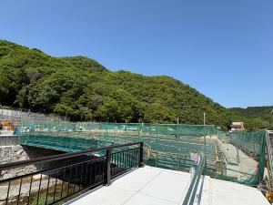 橋りょう上部工(近景)