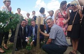 バルザック島にて記念植樹