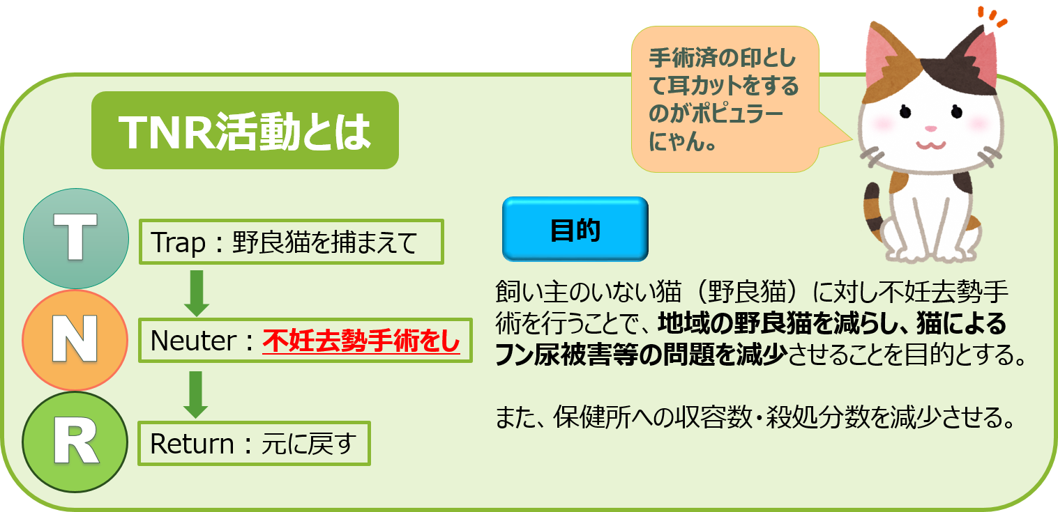 犬猫保護活動家ミルク様専用 ミルク様専用 犬猫保護活動家ミルク様
