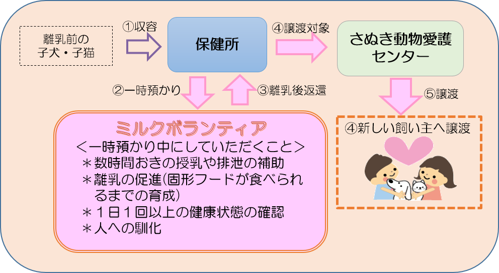 ペットが行方不明になったら ペットが行方不明になったら